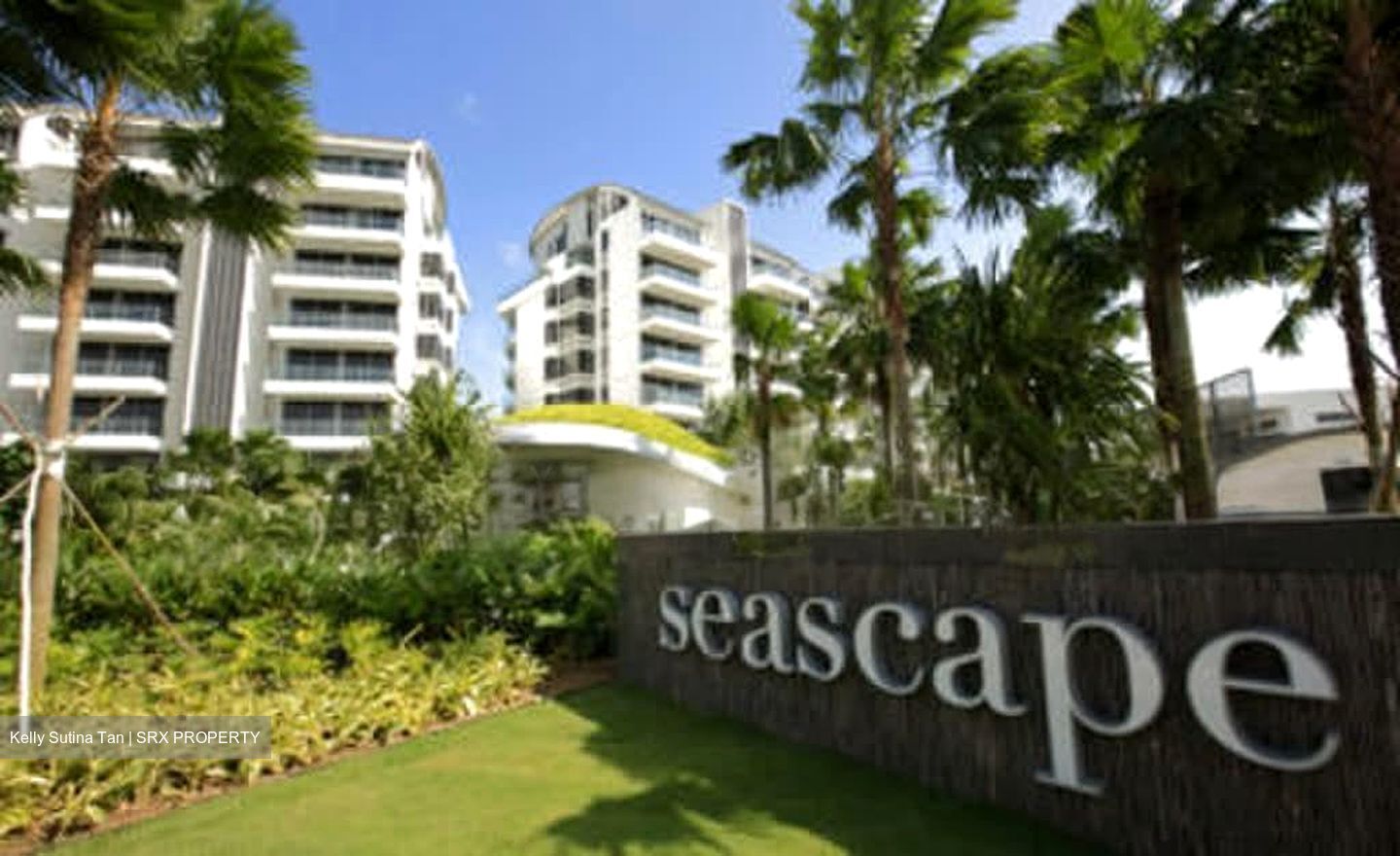 Seascape (D4), Condominium #580841101